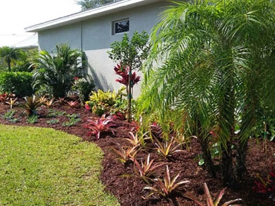 Ft. Myers home with new landscaping installation.