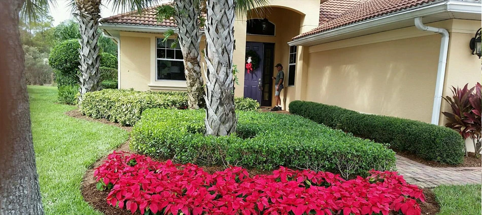 Home with professional maintained landscaping with annual flowers in Ft. Myers, FL